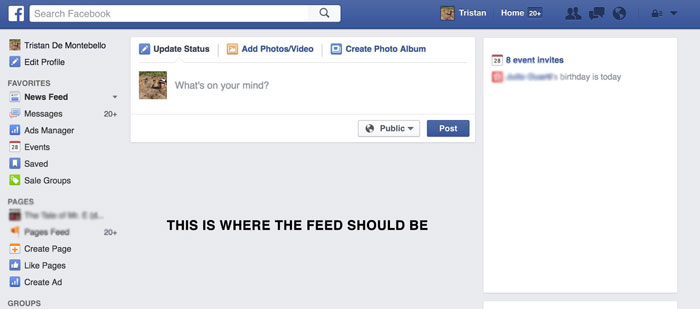 facebookFeed